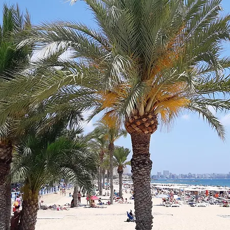 Wonderful In The Center By The Sea * Alicante